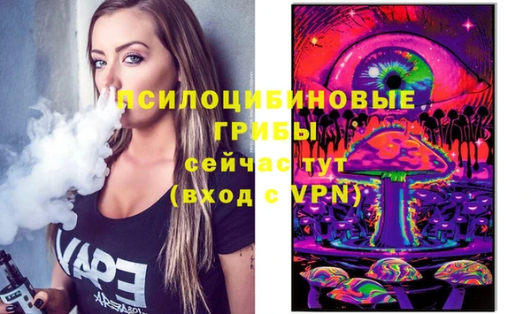 прущая мука Абаза
