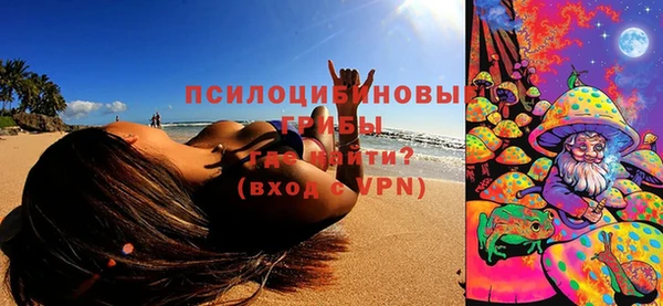 бошки Абинск