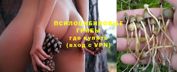 2c-b Абдулино