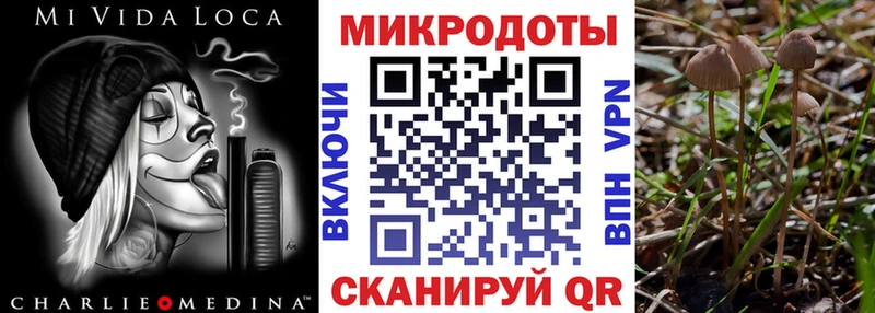 маркетплейс Telegram хочу Россошь Псилоцибиновые грибы MAGIC MUSHROOMS